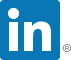 LinkedIn bug